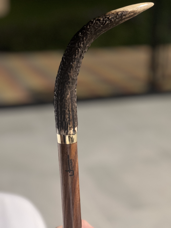 Antler Stag Handle Walking Stick