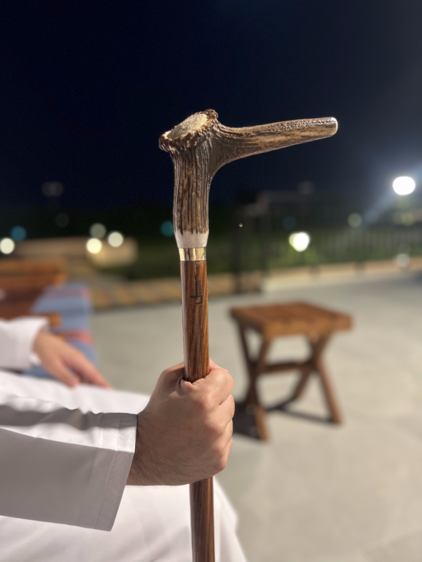 Camel Bone Relax Handle Walking Stick - Image 3
