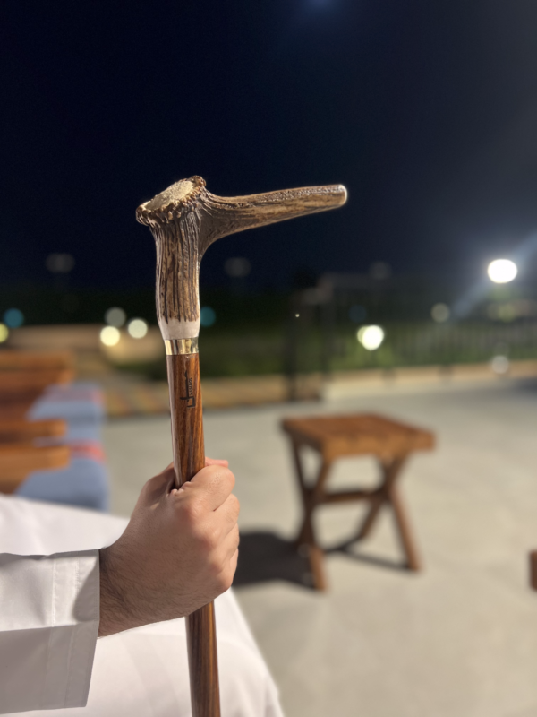 Camel Bone Relax Handle Walking Stick - Image 2